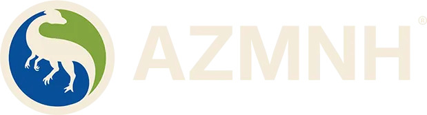 AZMNH Dinosaur